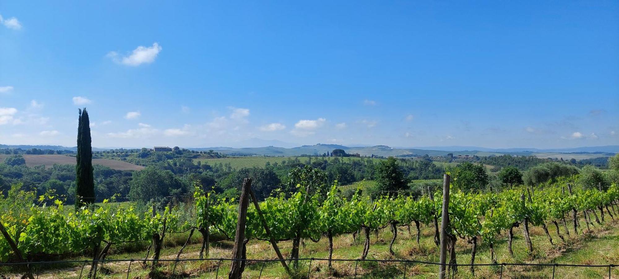 Chianti - Lovely Cottage With Parking & Garden! คาสเตลนูโอโว เบราร์เดนกา ภายนอก รูปภาพ